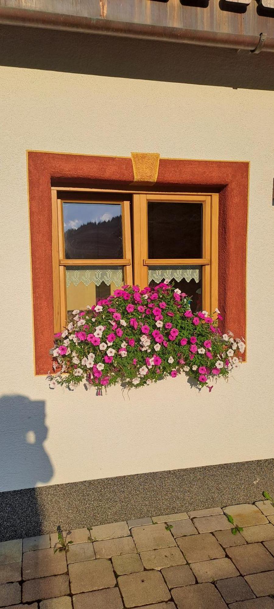 Ferienwohnung Steinernes Meer Maria Alm am Steinernen Meer Buitenkant foto